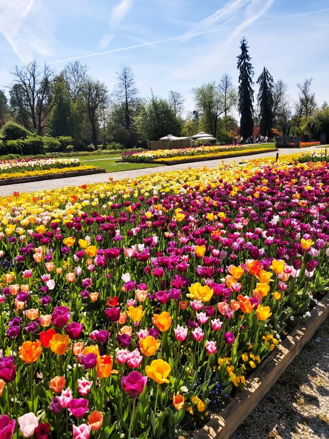 Arboretum Volčji Potok – cvjetna rapsodija nedaleko Ljubljane
