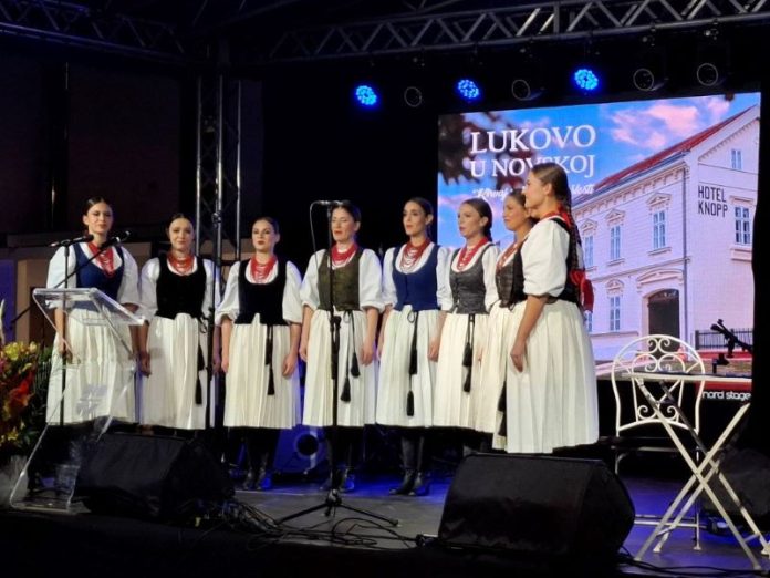 Dan Grada Novske 00